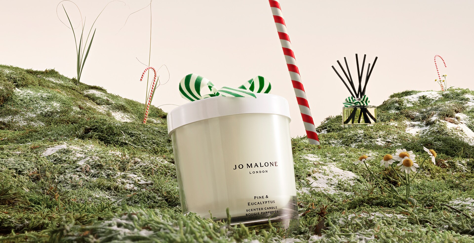Pine & Eucalyptus​. Compra la Colección
