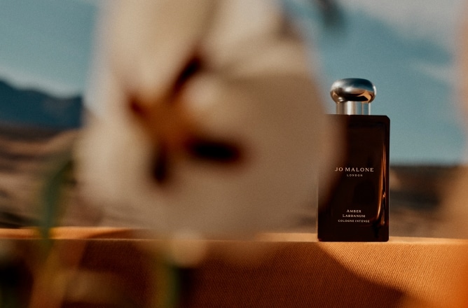Nueva Amber Labdanum Cologne Intense
