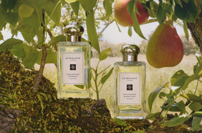 Dos escencias, Un Vínculo. Descubre English Pear