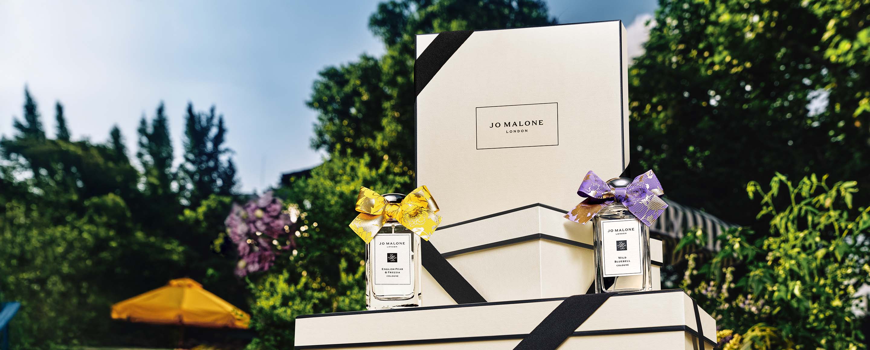 Aromas para Iniciar un Gran Año