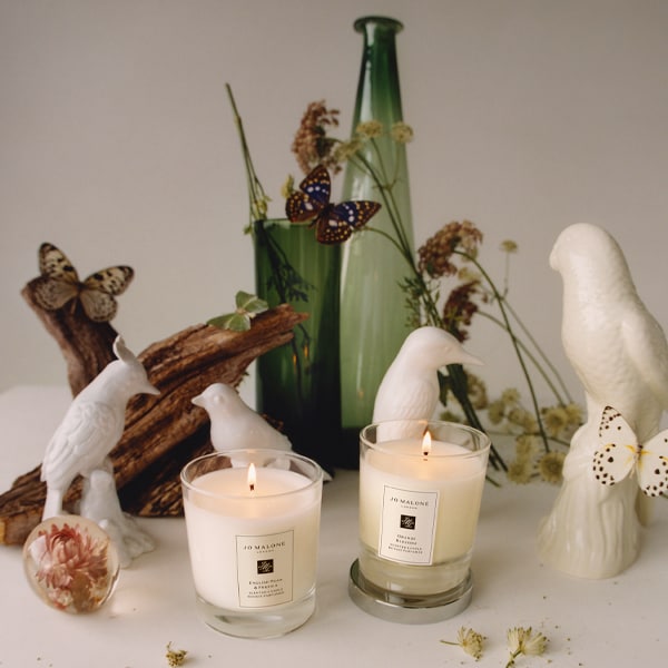 Explora Nuestra Guía de Regalos​